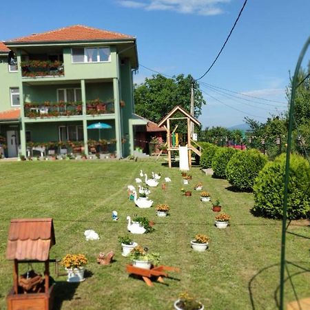 Apartment Pavlovic Soko Banja Ngoại thất bức ảnh