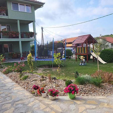 Apartment Pavlovic Soko Banja Ngoại thất bức ảnh