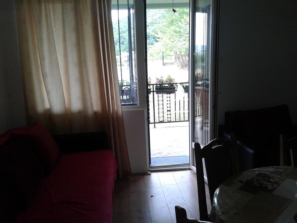 Apartment Pavlovic Soko Banja Ngoại thất bức ảnh